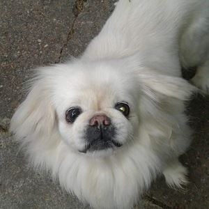 Meet your Posher, Debra